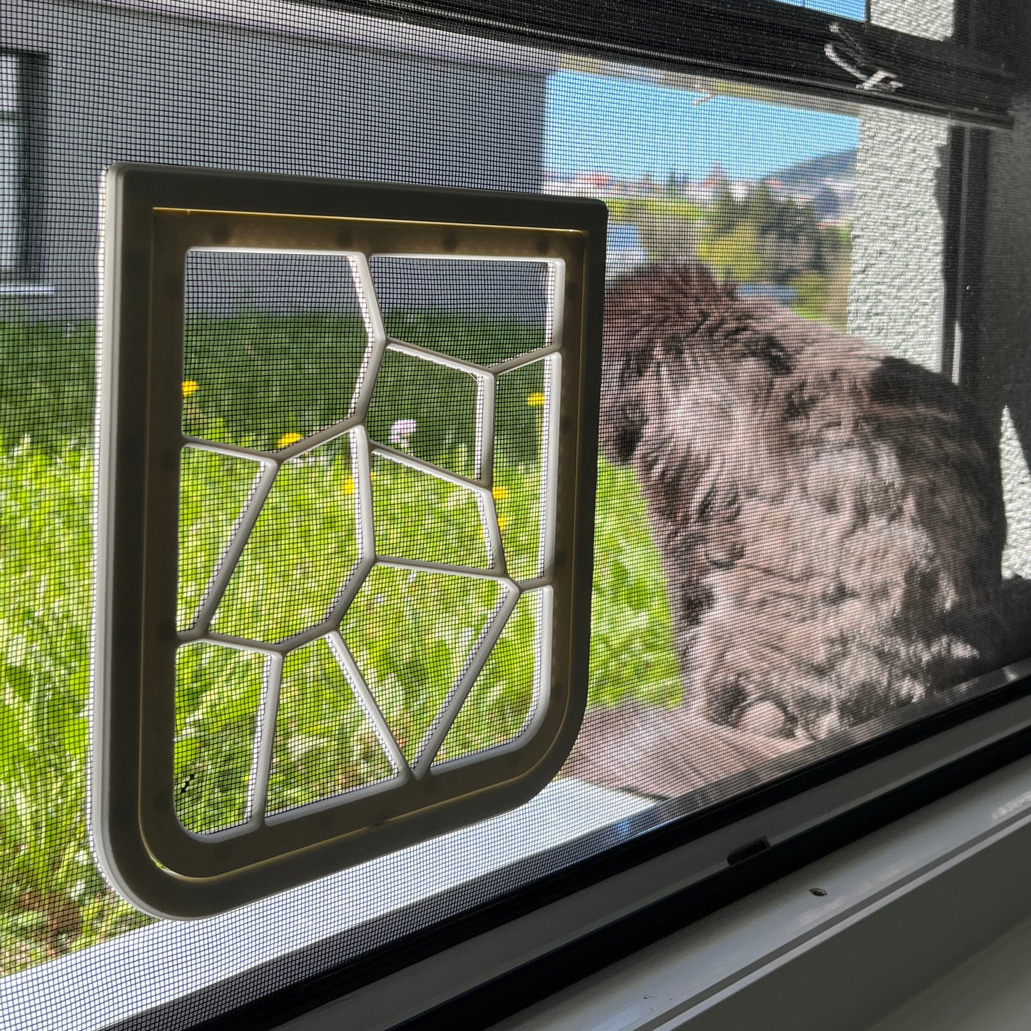 Katzenklappe für Fliegengitter mit Magnetverschluss