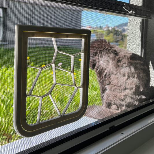 Katzenklappe für Fliegengitter mit Magnetverschluss