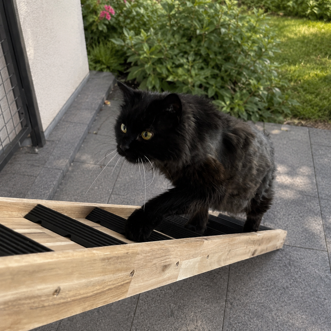 Premium Katzentreppe aus Massivholz – Wetterfest, Modular & Rutschfest